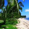 Tanzania, Ushongo beach, grass