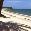 Танзания, Пляж Ушонго, тень пальмы