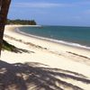 Tanzania, Ushongo beach, palm shadow