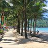 Thailand, Phuket, Kamala beach, palms