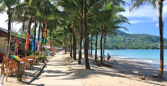 Thailand, Phuket, Kamala beach, palms