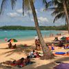 Thailand, Phuket, Kata beach, palms