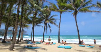 Thailand, Phuket, Surin beach, palms