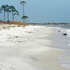 USA, Alabama, Dauphin island, wet sand